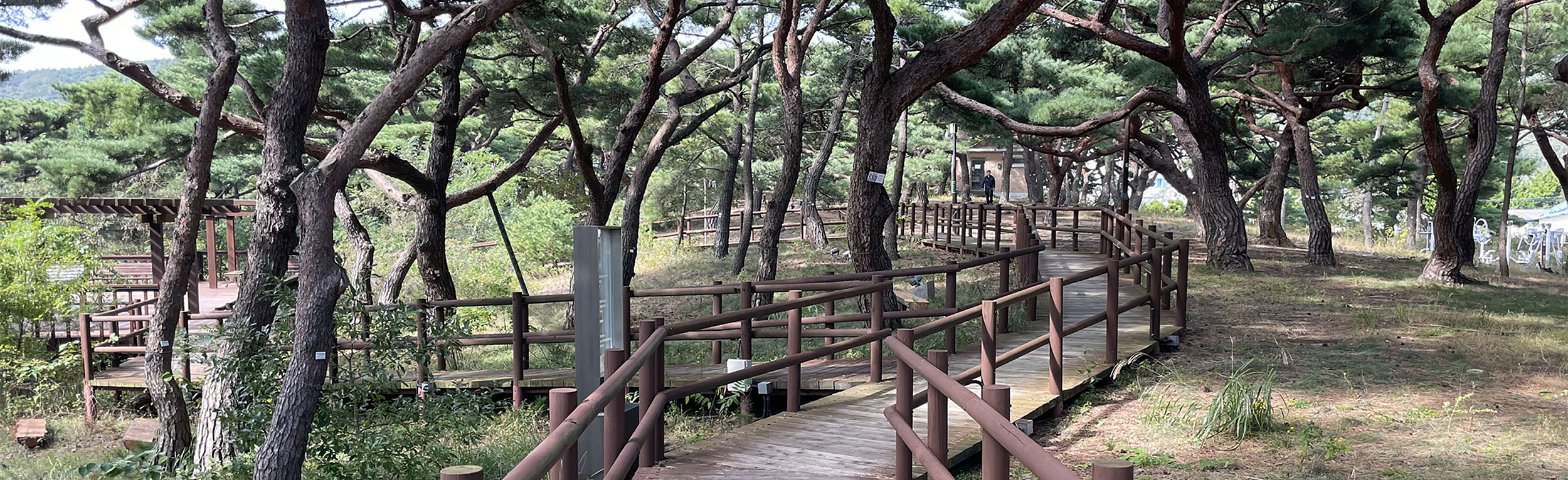 수도권에서 즐기는 섬여행, ‘인천섬 도도하게 살아보기’